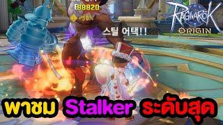 พาชม Stalker ระดับสูง!! ยิงลำแสงรัวๆ l Ragnarok Origin