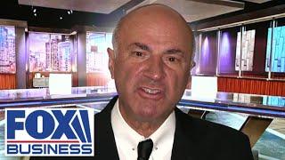 'HUGE MISTAKE': Kevin O'Leary warns this Harris policy will have a 'horrific outcome'