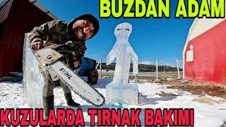 TESTERE İLE BUZA DALDIK~ADAM YAPTIK~YUMURTA ÇATLATAN AYAZ~KUZULARDA TIRNAK BAKIMI