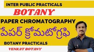 Paper Chromatography | Botany Practicals | Separation of Chlorophyll Pigments