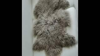 Mongolian Tibetan Sheepskin Rug