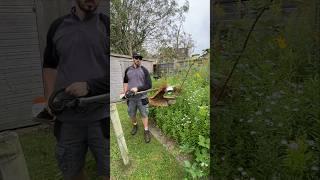 The Oregon Blade Brush Cutter Makes Light Work Of This Overgrown Lawn #garden #gardening #satisfying