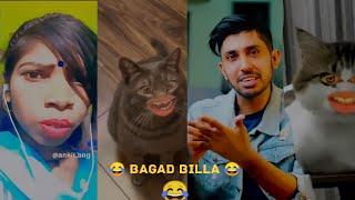 Bagad Billa funny video \\ Bagad BILLA funny reels \\ Ankit .Ang Funny Cat Video \\#comedy