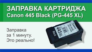 Заправка картриджа Canon 445 Black (PG-445 XL): инструкция | Гильдия правильного сервиса