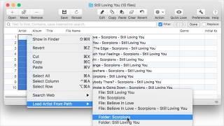 Extract ID3 tags from filenames & folder names on Mac with Tag Editor by Amvidia.