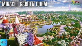 Dubai Miracle Garden 2024 : Best Family Attraction in Dubai | Season 13 Opening Day