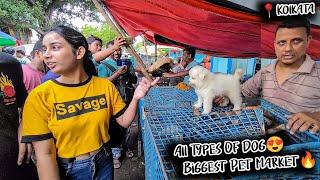 Cheap Price Dog In Kolkata | Gallif Street Pet Market Kolkata | Recent Dog Puppy Price Update | Dogs