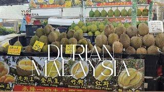 CEK HARGA DURIAN MUSANG KING, XO, DURIAN KAMPUNG, DLL….JOHOR MALAYSIA