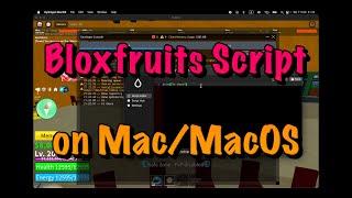 Bloxfruits Script on MacOS for Mac or PC