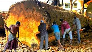 Rare Wood Phenomenon That Will Make You Suddenly Poor 1