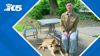 Blind man and his guide dog kicked out of Seattle restaurant