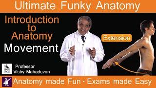 Introduction to Anatomy - Movement.  Anatomy made Fun. Exams made Easy!