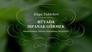 Rüyada ıspanak Görmek, Yemek, Toplamak | Rüya Yorumları