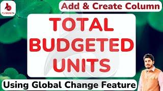 How to Add and create column Total Budgeted Units In primavera P6  by using Global Change option p6