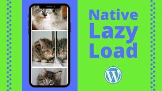 How to Lazy Load Images With the Official Google Plugin