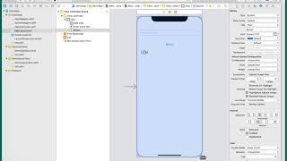 Building An iPhone App 101