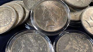 Morgan Dollar vs Peace Dollar? 5 Reasons To Collect Peace Dollars  Adding Some of Each To My Stack