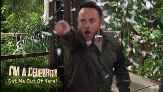 Ant Loses It With Dec Whilst LIVE | I'm A Celebrity... Get Me Out Of Here!
