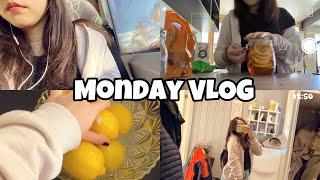 ENG) Monday VLOG #6 Homemade Honey Lemon เลม่อนดองน้ำผึ้ง, study