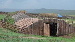 Содержание КРС. Фермерское хозяйство Виктора Катанаева