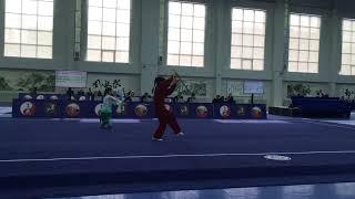 Tai Chi Chen style, sword, wushu competition 2019