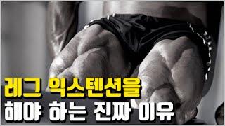 스쿼트 보다 뛰어난 레그 익스텐션의 운동 효과가 있습니다.