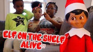 ELF ON THE SHELF IS ALIVE!? ( FUNNY KIDS SKIT)