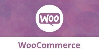 WooCommerce. Troubleshooter. Can Not Add Items To The Shopping Cart