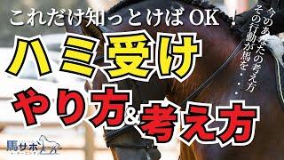 【切り抜き】教えます！ハミ受けのやり方＆考え方9ポイント