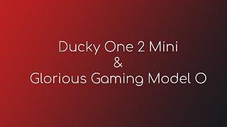 Ducky One 2 Mini Pure White & Glorious Gaming Model O Glossy White