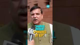 AAP's Sanjay Singh Accuses BJP of Sponsoring Sambhal Violence, Calls for High Court Investigation