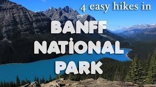 4 Easy Hikes in Banff National Park, Canada