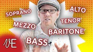 What is your Voice Classification? | Soprano Alto Tenor Bass | #DrDan 