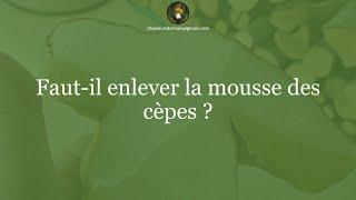 Faut il enlever la mousse des cèpes ? - 1 minute pour comprendre