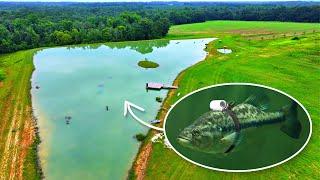 Strapping a Tiny Camera on a Bass! (Underwater Footage of 5 Acre Pond)