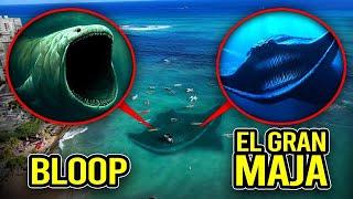 J'AI TROUVÉ LE BLOOP VS EL GRAN MAJA A LA PLAGE DANS LA VRAIE VIE ! Le Film Du Bloop !