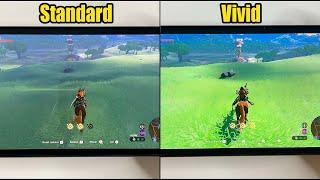 OLED Nintendo Switch Standard vs. Vivid Color Screen Mode Comparison | Zelda Tears of the Kingdom
