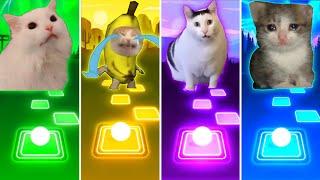 Coffin Dance Cat vs Banana Cat vs Huh Cat vs Sad Cat - Tiles Hop EDM Rush