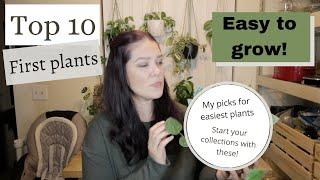 TOP 10 EASIEST HOUSEPLANTS| My recommendations for best first plants to grow