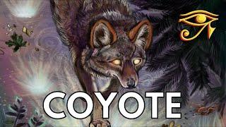 Coyote | Trickster & Shapeshifter