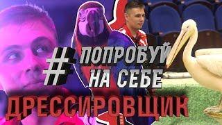 ПРИРУЧИТЬ ПОПУГАЯ И ПЕЛИКАНА! #ПОПРОБУЙНАСЕБЕ #ЦИРК 2 серия