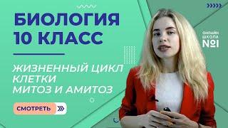 Урок 17. Жизненный цикл клетки. Митоз и амитоз. Биология 10 класс