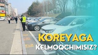 Koreyaga kelishda ingliz tili muhimroqmi yoki koreys tili | Koreya Kundaligi