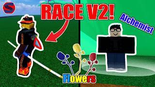 How To Get Race V2 FAST in Blox Fruits! 2024