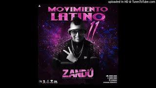 MOVIMIENTO LATINO 11 (ANDRES ZANDU)