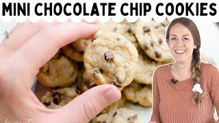 How to Make Mini Chocolate Chip Cookies