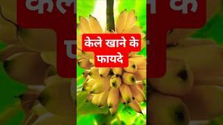 केला खाने के चमत्कारी फायदे / banana benefits in hindi #simplepharmacy #banana #bananabenefits