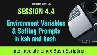 Master Linux Bash Scripting: Session 4.4 - Environment Variables & Setting Prompts in ksh and bash