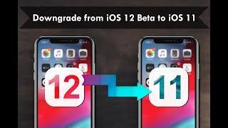 How to Downgrade from iOS 12 Beta to iOS 11.4/11.3 on iPhone or iPad