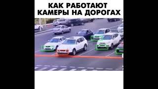 Игра в кальмара в реальной жизни